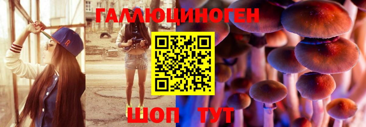 Чапаевск  Псилоцибиновые грибы мицелий  Псилоцибиновые грибы прущие грибы  Вход с VPN 